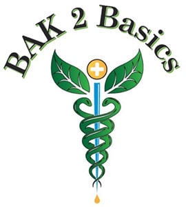 Bak2Basics logo